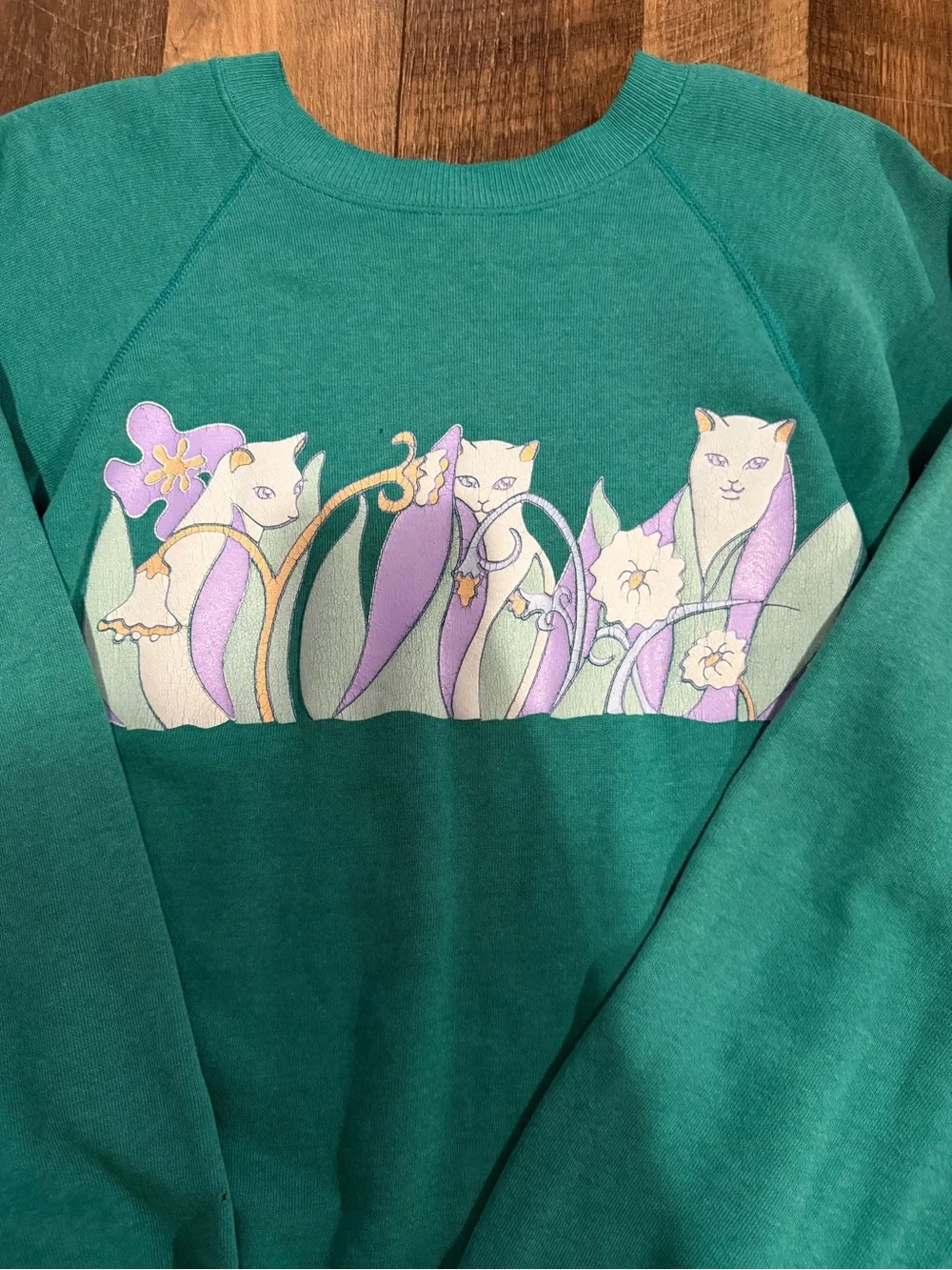 Vintage Hanes crewneck with cute cat graphic